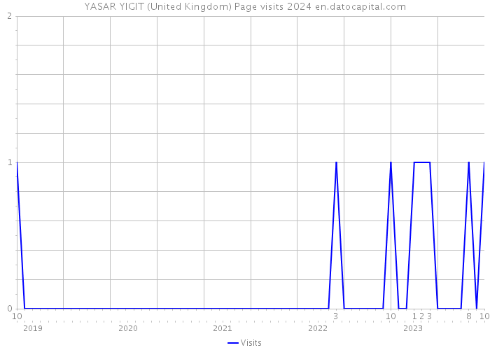 YASAR YIGIT (United Kingdom) Page visits 2024 