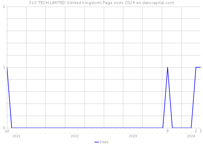 313 TECH LIMITED (United Kingdom) Page visits 2024 