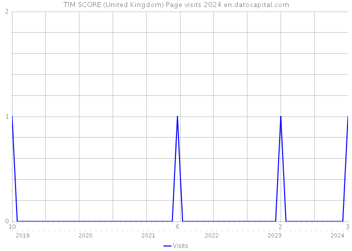 TIM SCORE (United Kingdom) Page visits 2024 