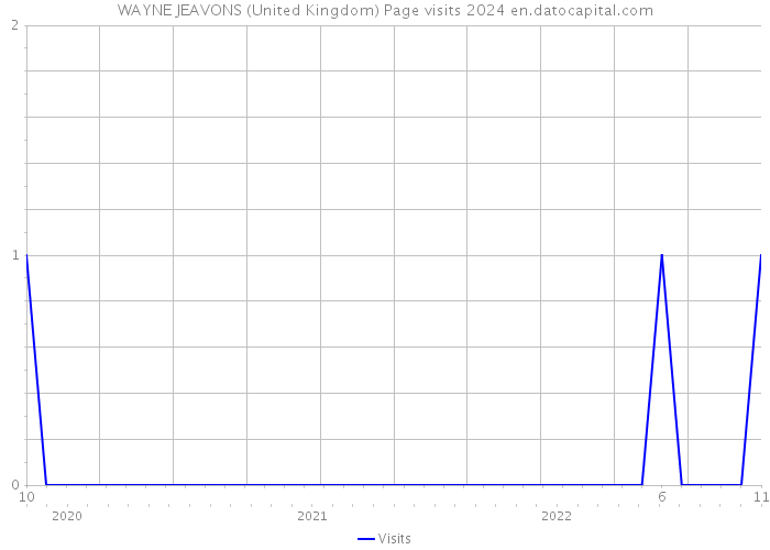 WAYNE JEAVONS (United Kingdom) Page visits 2024 