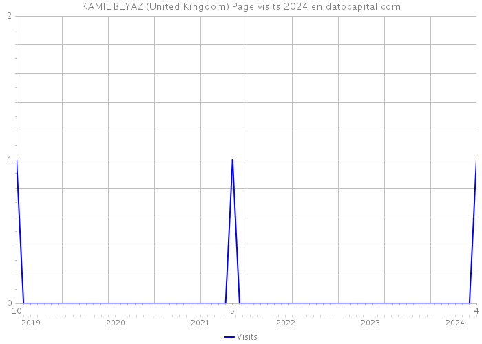 KAMIL BEYAZ (United Kingdom) Page visits 2024 