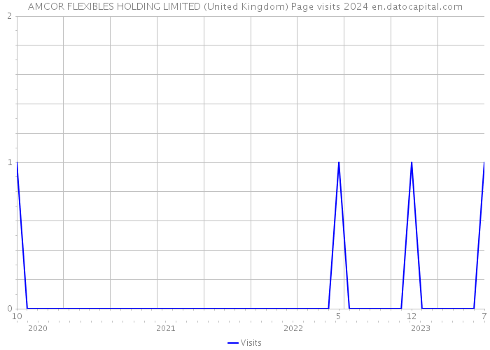 AMCOR FLEXIBLES HOLDING LIMITED (United Kingdom) Page visits 2024 