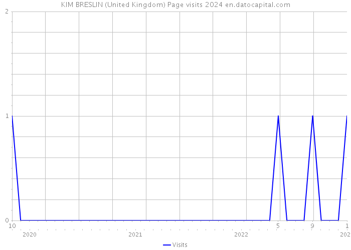 KIM BRESLIN (United Kingdom) Page visits 2024 