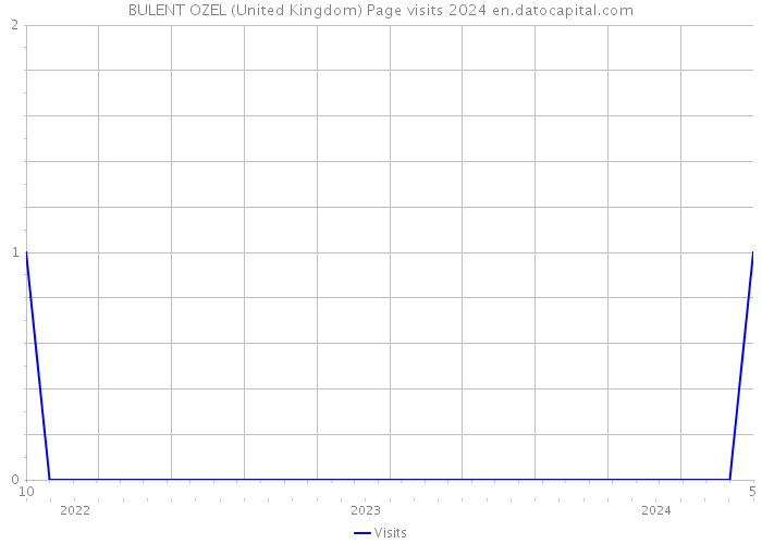 BULENT OZEL (United Kingdom) Page visits 2024 