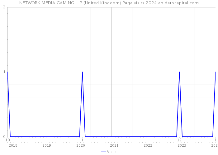 NETWORK MEDIA GAMING LLP (United Kingdom) Page visits 2024 