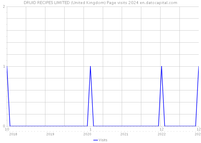 DRUID RECIPES LIMITED (United Kingdom) Page visits 2024 