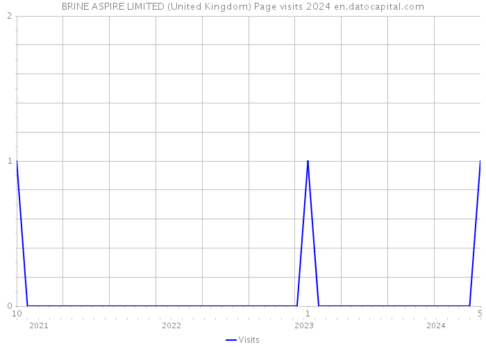 BRINE ASPIRE LIMITED (United Kingdom) Page visits 2024 
