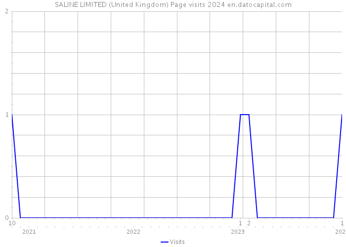SALINE LIMITED (United Kingdom) Page visits 2024 