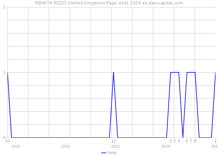 RENATA RIZZO (United Kingdom) Page visits 2024 