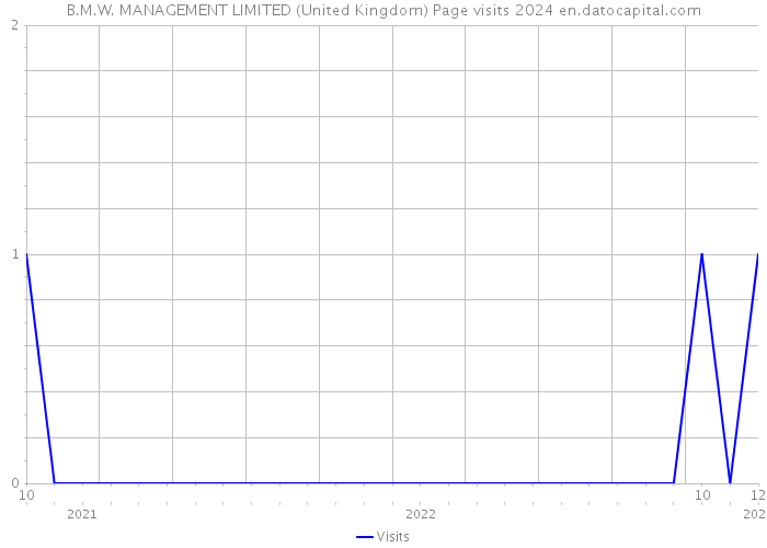 B.M.W. MANAGEMENT LIMITED (United Kingdom) Page visits 2024 