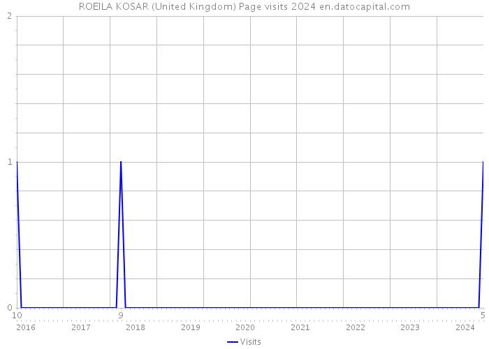 ROEILA KOSAR (United Kingdom) Page visits 2024 