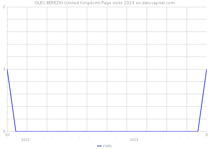 OLEG BEREZIN (United Kingdom) Page visits 2024 