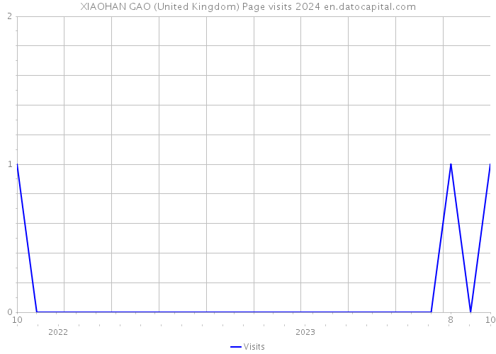 XIAOHAN GAO (United Kingdom) Page visits 2024 