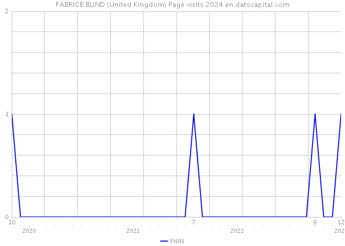 FABRICE BLIND (United Kingdom) Page visits 2024 