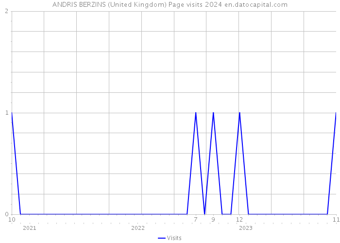 ANDRIS BERZINS (United Kingdom) Page visits 2024 