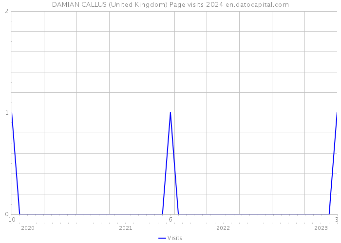 DAMIAN CALLUS (United Kingdom) Page visits 2024 