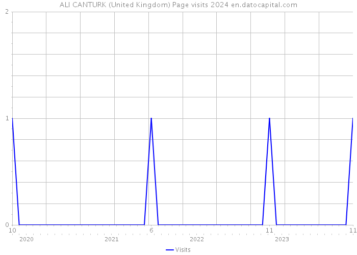 ALI CANTURK (United Kingdom) Page visits 2024 