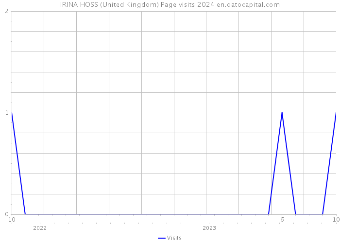 IRINA HOSS (United Kingdom) Page visits 2024 