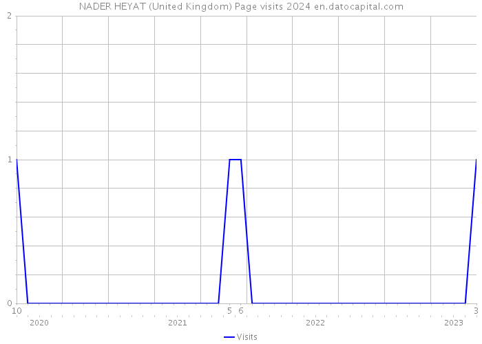 NADER HEYAT (United Kingdom) Page visits 2024 