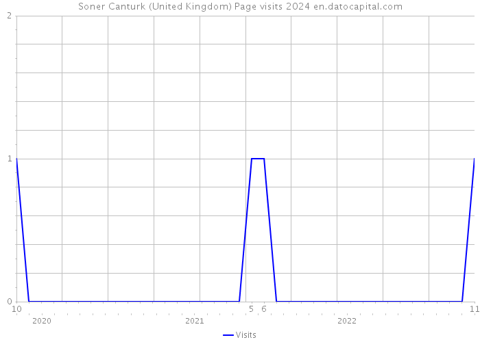Soner Canturk (United Kingdom) Page visits 2024 