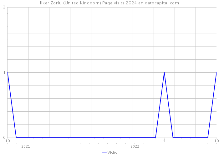 Ilker Zorlu (United Kingdom) Page visits 2024 
