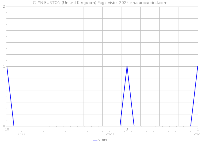 GLYN BURTON (United Kingdom) Page visits 2024 