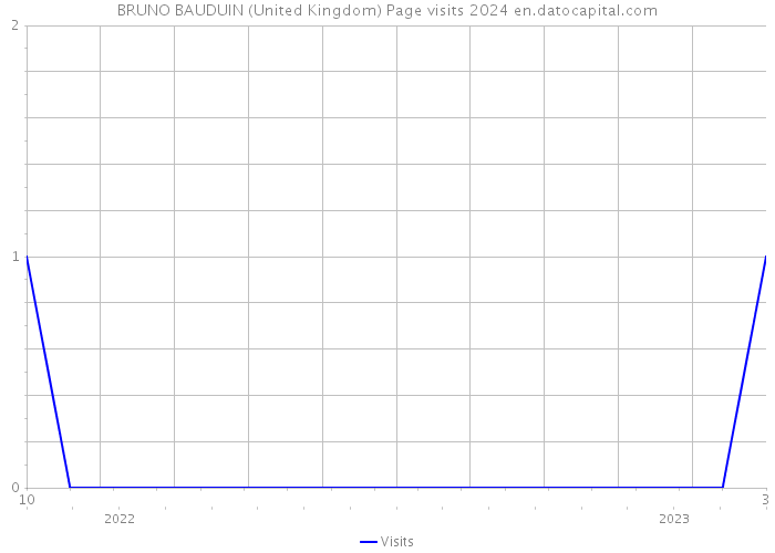 BRUNO BAUDUIN (United Kingdom) Page visits 2024 
