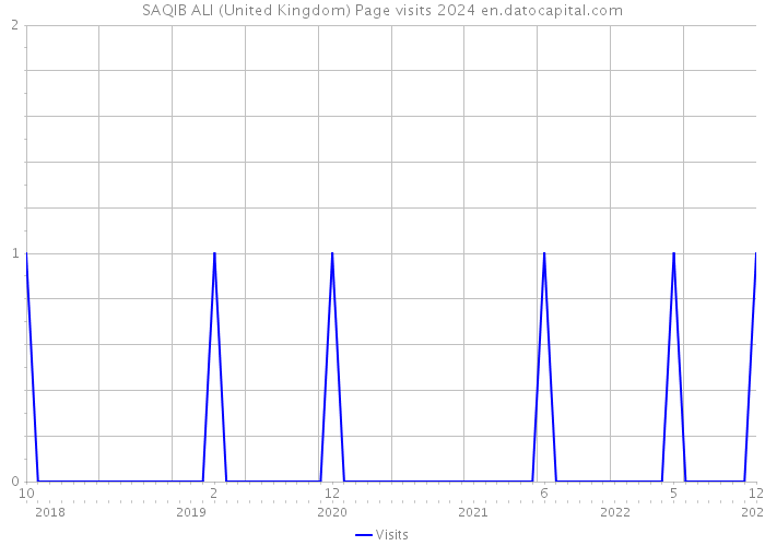 SAQIB ALI (United Kingdom) Page visits 2024 