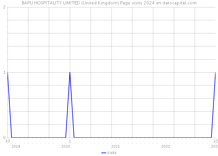 BAPU HOSPITALITY LIMITED (United Kingdom) Page visits 2024 