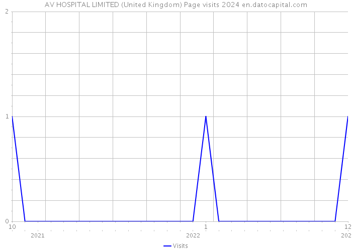 AV HOSPITAL LIMITED (United Kingdom) Page visits 2024 
