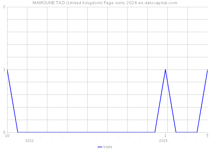 MAMOUNE TAZI (United Kingdom) Page visits 2024 