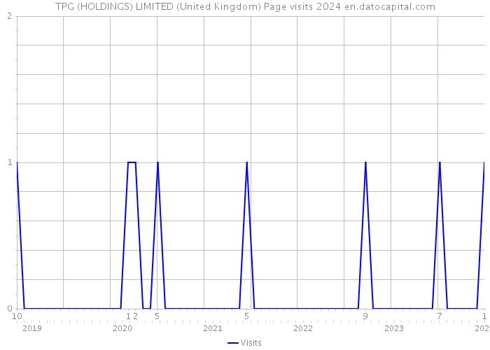 TPG (HOLDINGS) LIMITED (United Kingdom) Page visits 2024 