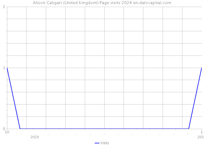 Alison Caligari (United Kingdom) Page visits 2024 