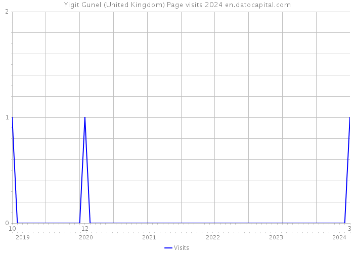 Yigit Gunel (United Kingdom) Page visits 2024 