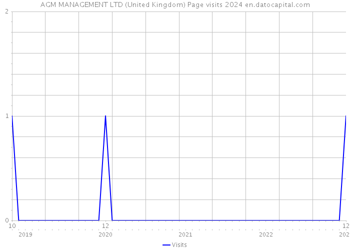AGM MANAGEMENT LTD (United Kingdom) Page visits 2024 