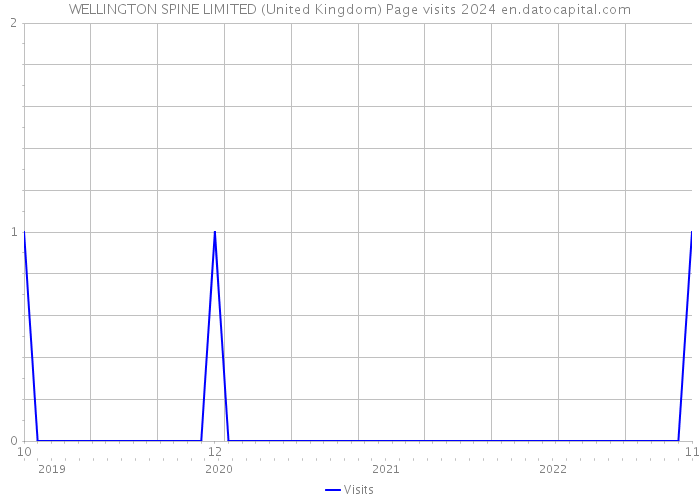 WELLINGTON SPINE LIMITED (United Kingdom) Page visits 2024 