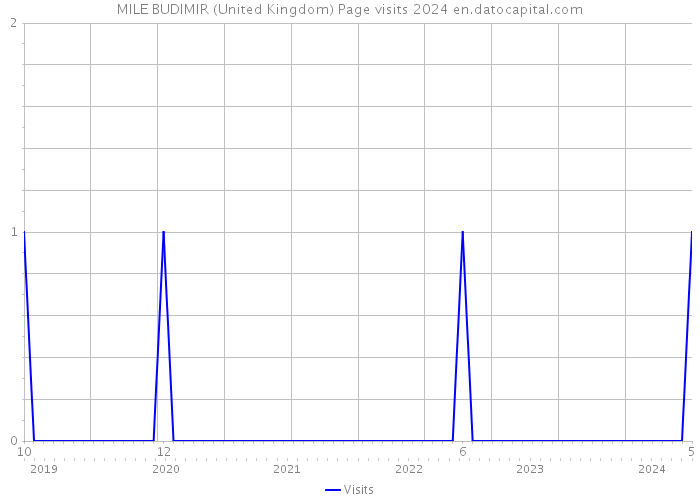 MILE BUDIMIR (United Kingdom) Page visits 2024 