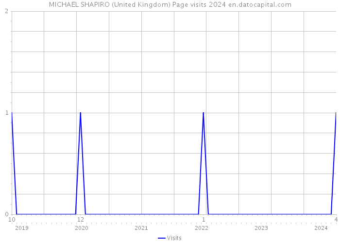 MICHAEL SHAPIRO (United Kingdom) Page visits 2024 