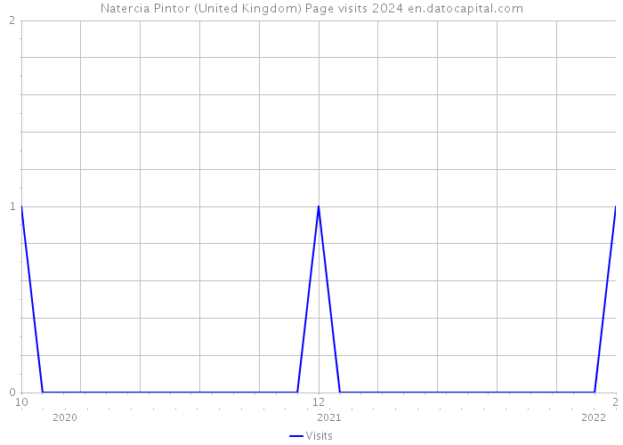 Natercia Pintor (United Kingdom) Page visits 2024 