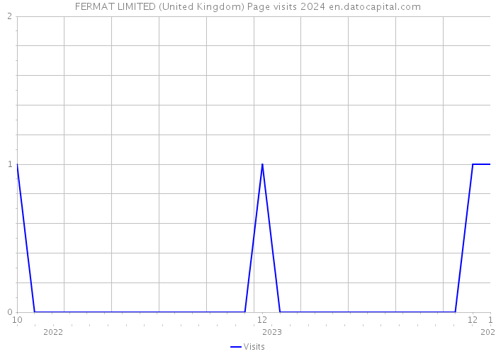 FERMAT LIMITED (United Kingdom) Page visits 2024 