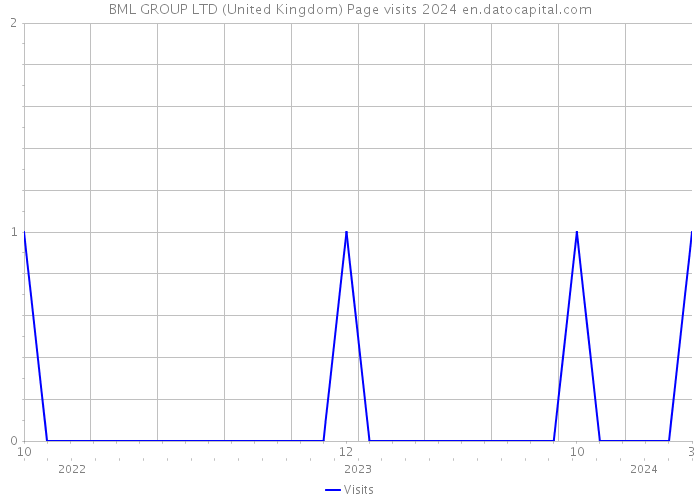 BML GROUP LTD (United Kingdom) Page visits 2024 