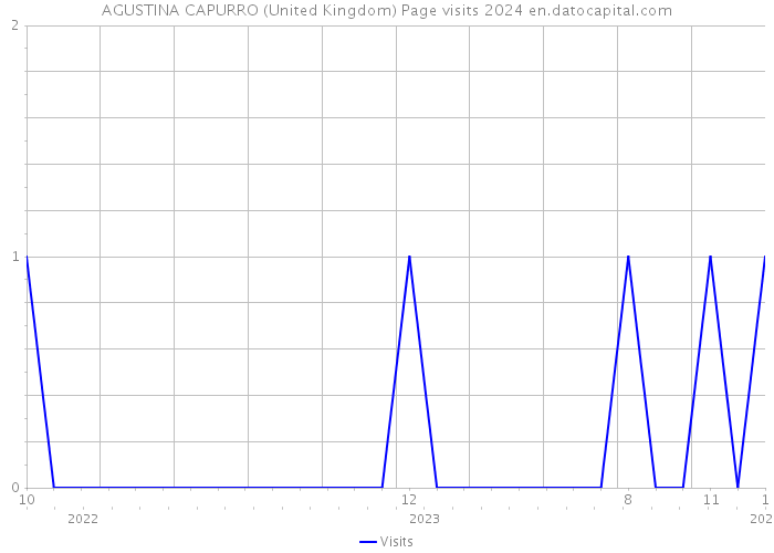 AGUSTINA CAPURRO (United Kingdom) Page visits 2024 
