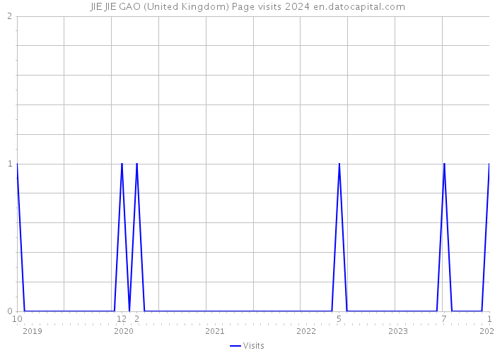 JIE JIE GAO (United Kingdom) Page visits 2024 