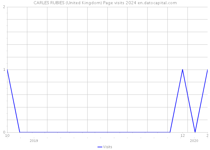 CARLES RUBIES (United Kingdom) Page visits 2024 