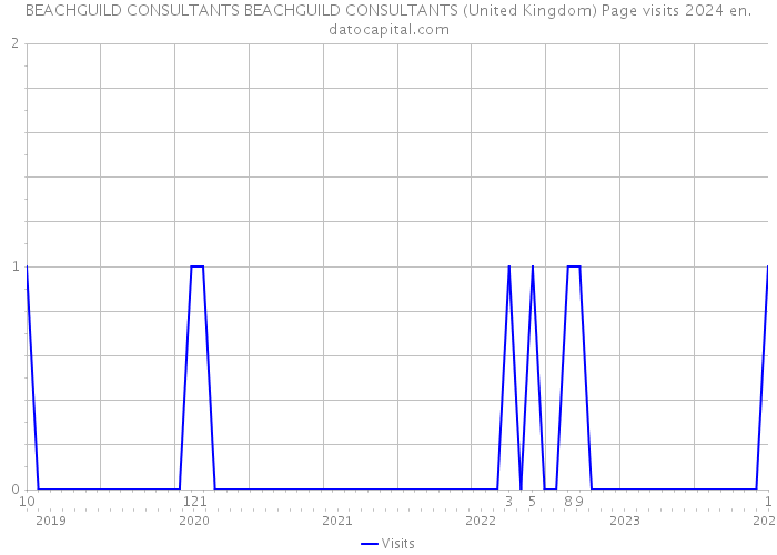 BEACHGUILD CONSULTANTS BEACHGUILD CONSULTANTS (United Kingdom) Page visits 2024 