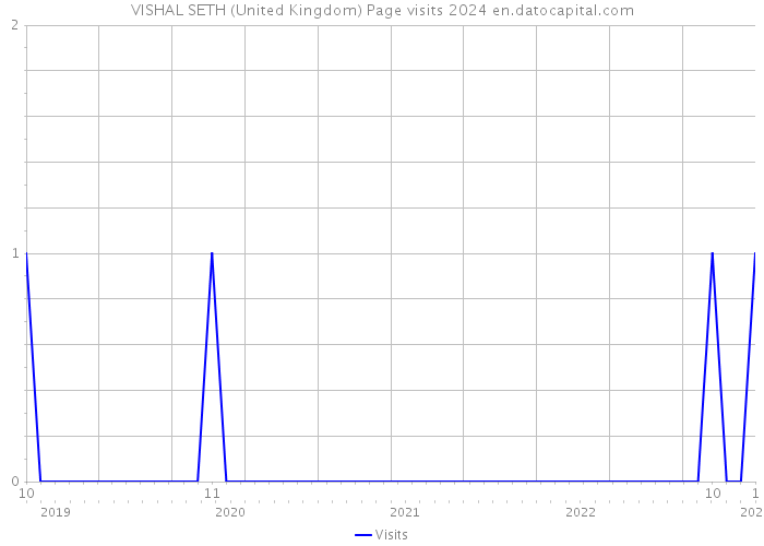 VISHAL SETH (United Kingdom) Page visits 2024 