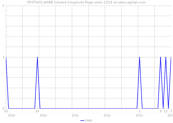 PINTADO JAMIE (United Kingdom) Page visits 2024 