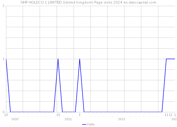 NHP HOLDCO 1 LIMITED (United Kingdom) Page visits 2024 