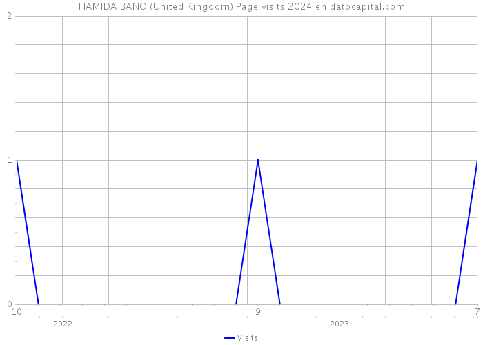 HAMIDA BANO (United Kingdom) Page visits 2024 