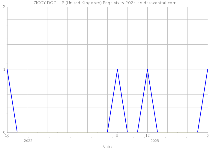 ZIGGY DOG LLP (United Kingdom) Page visits 2024 